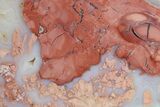 Polished Cotton Candy Agate Slab - Mexico #263872-1